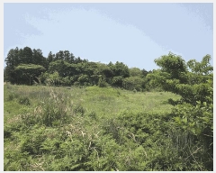  2025Ÿ��8003 ���� �������� ǥ���� ������ 1864      ����(�Ӿ�)���