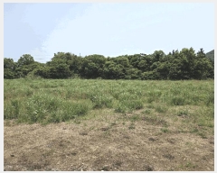  2025Ÿ��8003 ���� �������� ǥ���� ������ 1864      ����(�Ӿ�)���