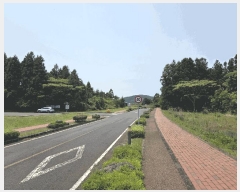  2025Ÿ��8003 ���� �������� ǥ���� ������ 1864      ����(�Ӿ�)���