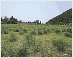  2025Ÿ��8003 ���� �������� ǥ���� ������ 1864      ����(�Ӿ�)���