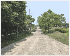  2025Ÿ��8003 ���� �������� ǥ���� ������ 1864      ����(�Ӿ�)���