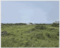  2025Ÿ��8003 ���� ���ֽ� ��õ�� ���긮 2153-5      ����(�������)���