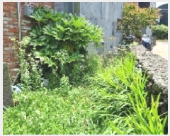  2025Ÿ��8021 ���� ���ֽ� ������ 848-36 ����������120��      ���ð��