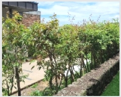  2025Ÿ��8021 ���� ���ֽ� ������ 848-36 ����������120��      ���ð��