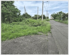  2025Ÿ��8032 ���� �������� �ȴ��� ��â�� 2478-6      ����(��1)���