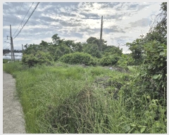  2025Ÿ��8032 ���� �������� �ȴ��� ��â�� 2478-6      ����(��1)���