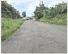  2025Ÿ��8032 ���� �������� �ȴ��� ��â�� 2478-6      ����(��1)���