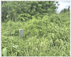  2025Ÿ��8032 ���� �������� �ȴ��� ��â�� 2478-6      ����(��1)���