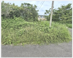  2025Ÿ��8032 ���� �������� �ȴ��� ��â�� 2478-6      ����(��1)���