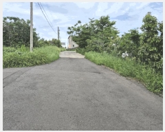  2025Ÿ��8032 ���� �������� �ȴ��� ��â�� 2478-6      ����(��1)���