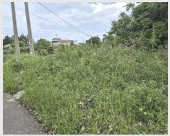  2025Ÿ��8032 ���� �������� �ȴ��� ��â�� 2478-6      ����(��1)���