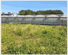  2025Ÿ��8040 ���� �������� ������ ���︮ 1942-5      ����(��1)���