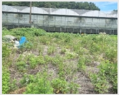  2025Ÿ��8040 ���� �������� ������ ���︮ 1942-5      ����(��1)���