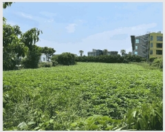  2025Ÿ��8049 ���� �������� �Ͽ��� 1776-1       ����(��1)���