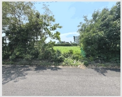  2025Ÿ��8049 ���� �������� �Ͽ��� 1776-1       ����(��1)���