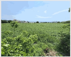  2025Ÿ��8049 ���� �������� �Ͽ��� 1776-1       ����(��1)���