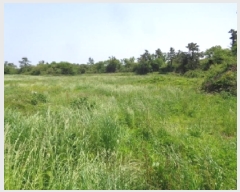  2025Ÿ��8061 ���� ���ֽ� �Ѹ��� ������ 1303-1      ����,â�����