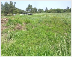  2025Ÿ��8061 ���� ���ֽ� �Ѹ��� ������ 1303-1      ����,â�����