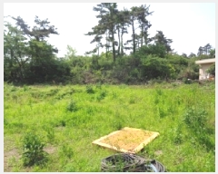  2025Ÿ��8061 ���� ���ֽ� �Ѹ��� ������ 1303-1      ����,â�����