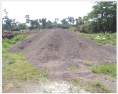  2025Ÿ��8061 ���� ���ֽ� �Ѹ��� ������ 1303-1      ����,â�����