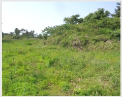  2025Ÿ��8061 ���� ���ֽ� �Ѹ��� ������ 1303-1      ����,â�����