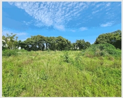  2025Ÿ��8070 ���� �������� ������ �μ��� 268-10      ����(��1)���