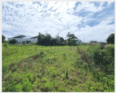  2025Ÿ��8070 ���� �������� ������ �μ��� 268-10      ����(��1)���