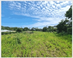  2025Ÿ��8070 ���� �������� ������ �μ��� 268-10      ����(��1)���