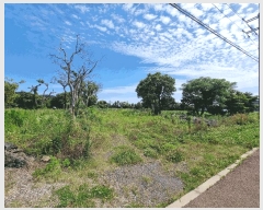  2025Ÿ��8070 ���� �������� ������ �μ��� 268-10      ����(��1)���