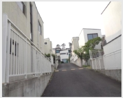  2025Ÿ��8115  ���ð��