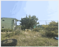  2025Ÿ��8133  �������