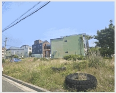  2025Ÿ��8133  �������