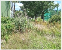  2025Ÿ��8133  �������