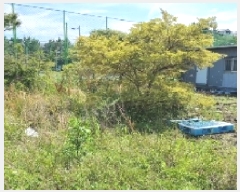  2025Ÿ��8133  �������