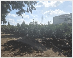  2025Ÿ��8142  ���������