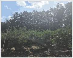  2025Ÿ��8142  ���������