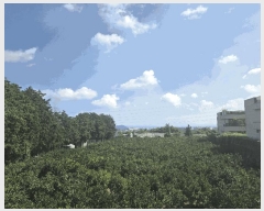  2025Ÿ��8142  ���������