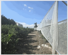  2025Ÿ��8142  ���������