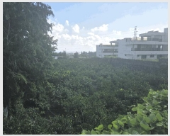  2025Ÿ��8142  ���������