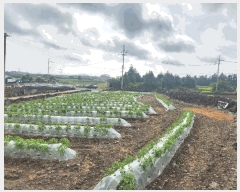  2025Ÿ��8160  �����