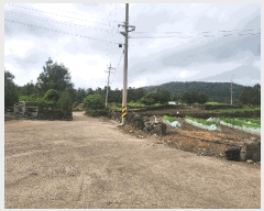  2025Ÿ��8160  �����