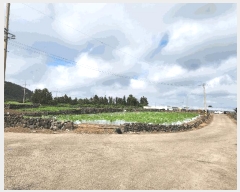  2025Ÿ��8160  �����