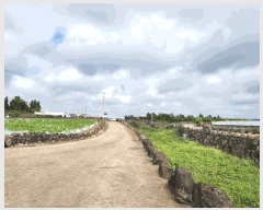  2025Ÿ��8160  �����