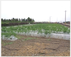  2025Ÿ��8160  �����