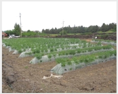  2025Ÿ��8160  �����