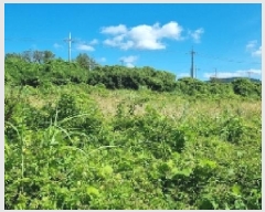  2025Ÿ��8263 ���� �������� ������ ���︮ 100-1      ����(��1)���