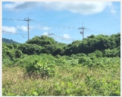  2025Ÿ��8263 ���� �������� ������ ���︮ 100-1      ����(��1)���