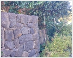  2025Ÿ��8263 ���� �������� ������ ���︮ 100-1      ����(��1)���