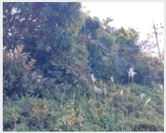  2025Ÿ��8263 ���� �������� ������ ���︮ 100-1      ����(��1)���