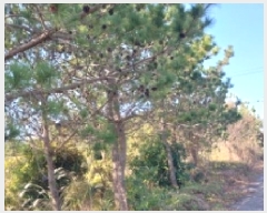  2025Ÿ��8263 ���� �������� ������ ���︮ 100-1      ����(��1)���